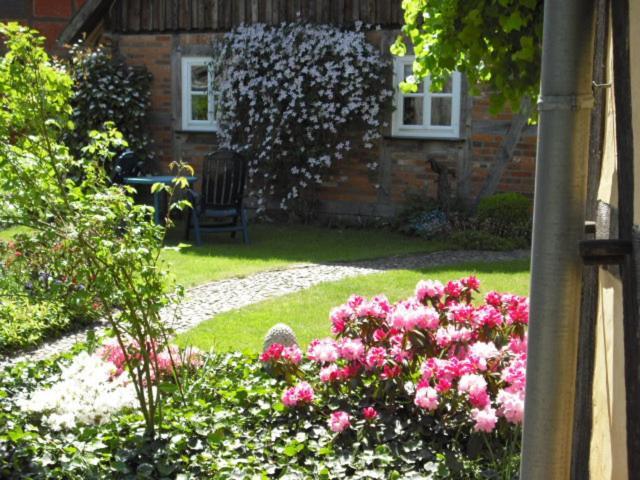 Landhaus Kiesow Suderburg Exteriör bild