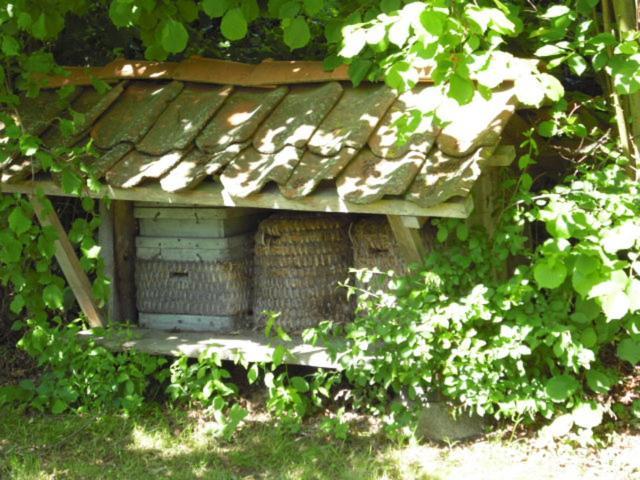 Landhaus Kiesow Suderburg Exteriör bild